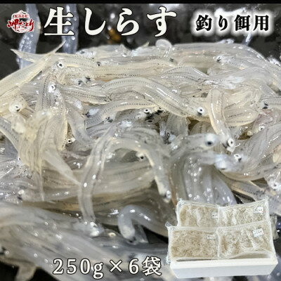 岬だよりの 生しらす釣り餌用 250g×6袋【配送不可地域：離島】【1457301】