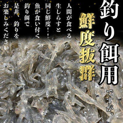 【ふるさと納税】岬だよりの 生しらす釣り餌用 250g×6袋【配送不可地域：離島】【1457301】