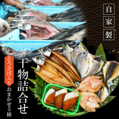 [南知多町・美浜町共通返礼品]魚太郎名物[とろさば]入り・自家製ひもの5種おまかせセット[配送不可地域:離島]