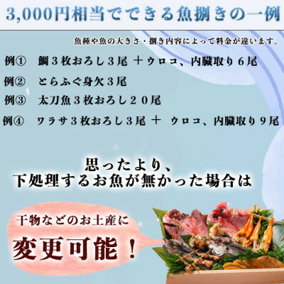 【ふるさと納税】岬だよりの【釣ったお魚プロが代わりに下処理します】魚捌き券(15000円相当)【1466599】その2