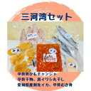 【ふるさと納税】 海神丸 三河湾 セット 5種 平貝 ( 貝ひも チャンジャ ・ 干物 ・ むき身 ) ・マイワシ 丸干し ・ ケンサキ イカ 冷凍 海鮮 魚介...