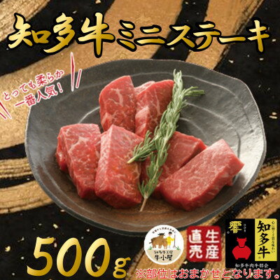 【生産直売】知多牛 響 ミニステーキ 500g (冷凍)柔らか 一番人気【配送不可地域：離島】【1473084】