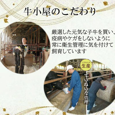愛知県南知多町の画像2