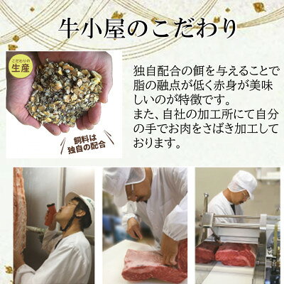 愛知県南知多町の画像3
