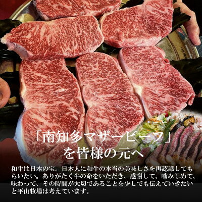 愛知県南知多町の画像2