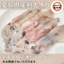 【ふるさと納税】愛知県産　剣先イカ(アカイカ)3袋【配...