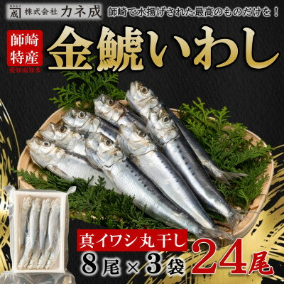 【ふるさと納税】 いわし 丸干し 24尾 ( 8尾 × 3 パック ) 干物 冷凍 小分け 愛知県 南知多町 ご飯 ごはん おかず おつまみ 魚 さかな 鰯 金鯱 イワシ 栄養 料理 国産 カネ成 人気 おすすめ 【配送不可地域：離島】