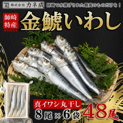 いわし 丸干し 48尾 ( 8尾 × 6 パック ) 干物 冷凍 小分け 愛知県 南知多町 ご飯 ごはん おかず おつまみ 魚 さかな 鰯 金鯱 イワシ 栄養 料理 カネ成 国産 人気 おすすめ [配送不可地域:離島]