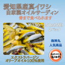 【ふるさと納税】 真 イワシ 5尾 × 2パック 自家製 オイルサーディン 冷凍 小分け ( ふるさと納税 真いわし ふるさと納税 イワシ ふるさと納税 いわし...