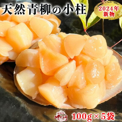 【ふるさと納税】岬だよりの【貝専門店】天然の青柳小柱　100g×5袋【配送不可地域：離島】【1484453】