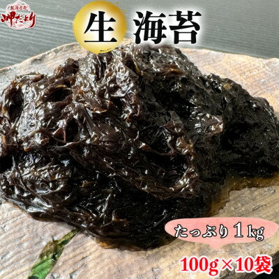 【ふるさと納税】岬だよりの【数量限定】生海苔(冷凍)100g×10袋(1kg)【配送不可地域：離島】【1484483】