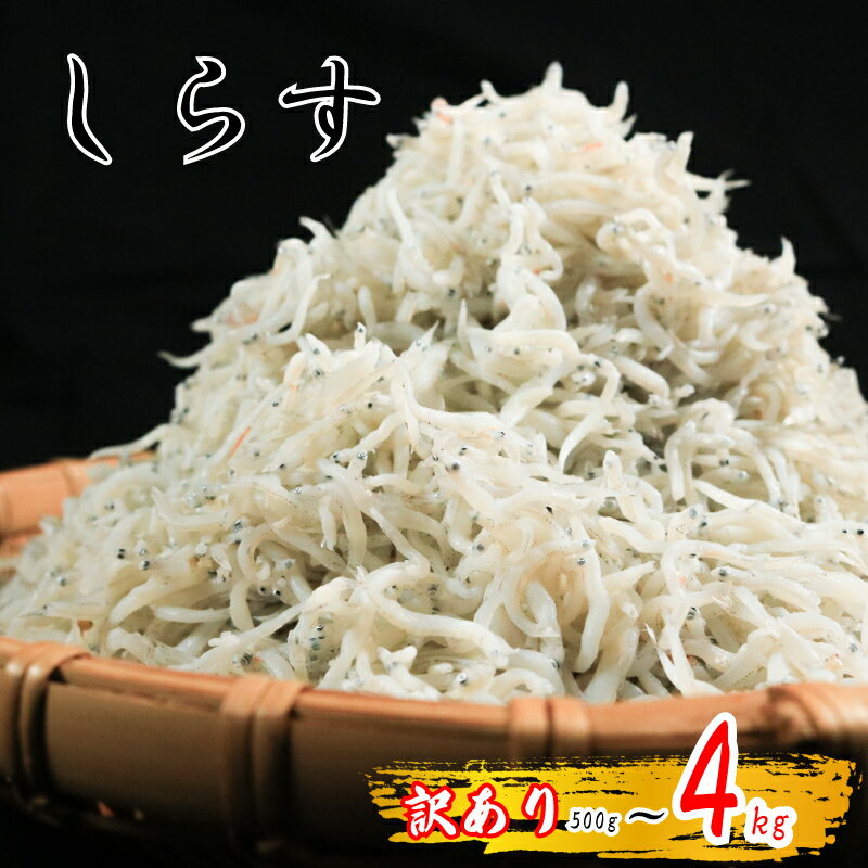 しらす 500g 〜 4kg 訳あり ちりめん かちり しらす干し 極み ごはん 丼 パスタ チャーハン サラダ 魚 料理 愛知県 南知多町 [配送不可地域:北海道・沖縄・離島]