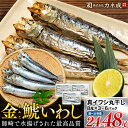 【ふるさと納税】 【最高品質】 いわし 丸干し 24~48尾 (8尾×3〜6p) 干物 冷凍 小分け ( ふるさと納税 干物 ふるさと納税 ひもの ふるさと納税...