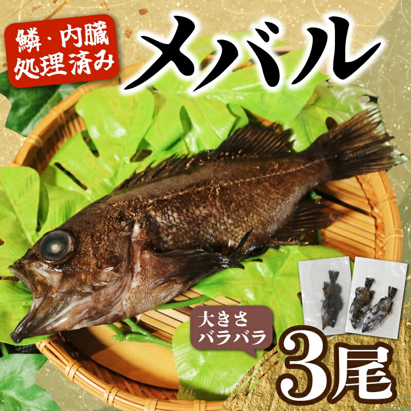 【ふるさと納税】 訳あり メバル 3尾 大きさ不揃い 下処理済み 冷凍 ワガ 3匹 魚介類 魚貝類 めばる 煮付け 塩焼き メバル めばる 新鮮 簡単調理 便利...