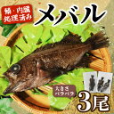 【ふるさと納税】 訳あり メバル 3尾 大きさ不揃い 下処理済み 冷凍 ワガ 3匹 魚介類 魚貝類 めばる 煮付け 塩焼き メバル めばる 新鮮 簡単調理 便利 めばる 海鮮 高級 海産物 メバル 数量限定 鮮魚 愛知県 南知多町 人気 おすすめ 訳アリ