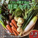 【ふるさと納税】 丸山農園の野菜セット おまかせ 6〜8品目 選べる 容量 1〜6人用 無農薬 くらしを耕す会 野菜 やさい サラダ 健康 人参 玉ねぎ 大根 野菜 愛知県 南知多町