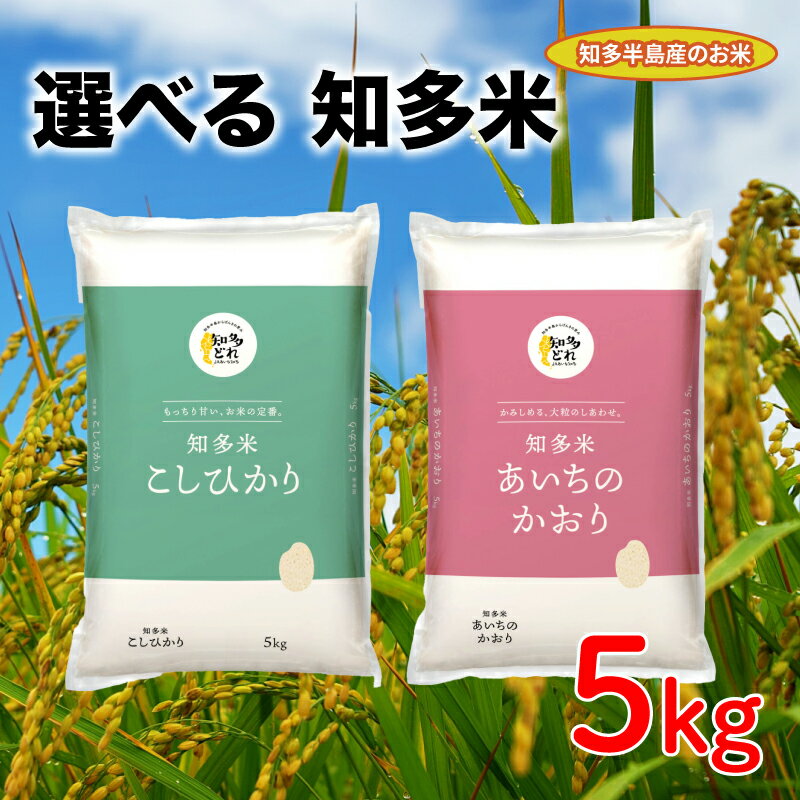 【ふるさと納税】 知多米 選べる こしひかり あいちのかおり 5kg 米 コシヒカリ こめ こしひかり 米 ライス ご飯 ごはん 主食 愛知 コシヒカリ こめ ...