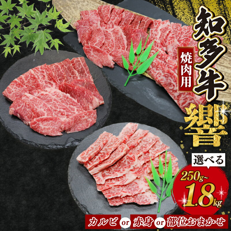 種類と容量選べる 焼肉用 知多牛 カルビ 赤身 焼肉セット 250g〜1.8kg 部位おまかせ 知多牛響 訳あり 焼肉用カルビ 小分け ( ふるさと納税 肉 カルビ ふるさと納税 牛 カルビ ふるさと納税 牛肉 ふるさと納税 ふるさと納税 焼肉 カルビ ) 愛知県 南知多町