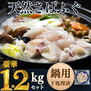 【ふるさと納税】 岬だよりの【贅沢すぎる】天然さばふぐ 鍋用 下処理済 小分け 個包装 ( ふぐ 鍋 フグ 河豚 ふぐ鍋 愛知県 南知多町 人気 おすすめ