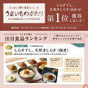 愛知県南知多町の画像2