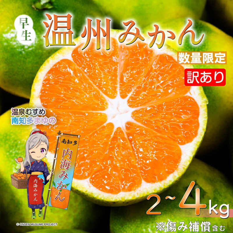 訳あり 温州みかん 約2kg 約4kg 早生 南知多町産 みかん ふるさと納税みかん 蜜柑 ふるさと納税蜜柑 柑橘 果物 フルーツ デザート アレンジ 人気 おすすめ 愛知県 南知多町 [配送不可地域:北海道・沖縄・離島]