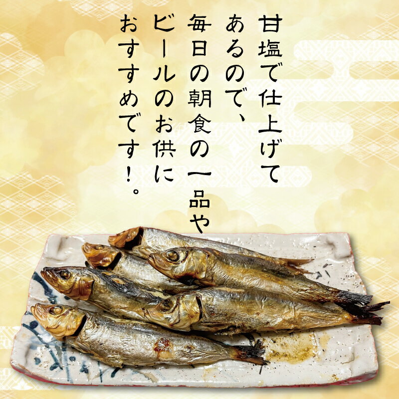 【ふるさと納税】 選べる種類 国産いわし 丸干し 2kg イワシ 干物 いわし おつまみ 夕食 海鮮 お魚 惣菜 弁当 訳あり マイワシ 海の幸 通常 愛知 夕食 晩ごはん おかず いわし 干し 新鮮 おつまみ ビールに合う 南知多 まると水産