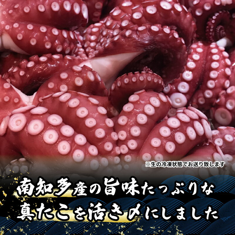 【ふるさと納税】 【選べる容量】南知多産 活〆生真だこ 400g 〜 800g (1〜2匹) タコ 真蛸 たこ 新鮮 海産 海鮮物 お魚 まると水産 タコ 蛸 活き締 魚貝類 海鮮 海の幸 おかず 夕食 晩ごはん 惣菜 タコ 国産 美味しい 人気 訳あり 選べる マダコ 南知多 愛知