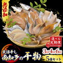 【ふるさと納税】 定期便 選べる 3〜6ヶ月 おまかせ 干物 5種セット 冷凍 天日干し ひもの 穴子 太刀魚 アジ カマス サバ キス イワシ 干物 みりん干...