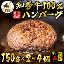 【ふるさと納税】 容量選べる 知多牛 100% ハンバーグ 小分け 150g×2~4個 知多牛 響 国産牛 ( ふるさと納税 ハンバーグ ふるさと納税 牛 ハン...