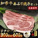 【ふるさと納税】 容量選べる 知多牛 響 リブロース 炙り焼き セット 300g 600g 冷凍 焼肉 生産直売 ( ふるさと納税 焼肉 牛肉 焼き肉 肉 牛 ...