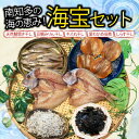 【ふるさと納税】 南知多の海の恵み 海宝セット 天然鯛 開き干し 豆鯛 みりん干し キス 丸干し 茎わかめ 佃煮 しらす干し 鯛 たい 干物 お米 にあう ご飯...