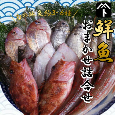 【ふるさと納税】 詰め合わせ 鮮魚 旬 3 ~ 6種 鯛 メバル カサゴ イカ カレイ ヒラメ 詰め合わせ セッ..