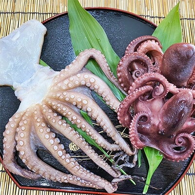 輝く高品質な ふるさと納税 南知多産 茹でたこ 真蛸の干物セット 春夏新色 Mffertilidademasculina Com Br