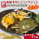 【ふるさと納税】 訳あり 南知多カンジャンケジャン カンジャンケジャン 大蟹1匹 魚介 魚介類 ワタリガニ 渡蟹 蟹 新鮮 グルメ カニ お米 に合う コメ に合う こめ に合う ご飯 のお供 おすすめ 晩酌 肴 おかず そうめん 雑炊 濃厚 内子 海の幸 国産 夕食 愛知県 南知多