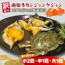 【ふるさと納税】 選べる サイズ 訳あり 南知多カンジャンケジャン カンジャンケジャン 大中小 ワタリガニの醤油漬け 魚介 魚介類 ワタリガニ 渡蟹 蟹 新鮮 グルメ カニ お米 に合う コメ に合う こめ に合う ご飯 のお供 おすすめ 韓国料理 韓国グルメ 愛知県 南知多