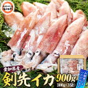 【ふるさと納税】 ケンサキ イカ ( アカイカ ) 300g × 3袋 冷凍 海鮮 魚介 海の幸 真空 パック 小分け バター 炒め 姿焼き パスタ フライ 揚げ物 アヒージョ 愛知県 南知多町 人気 おすすめ ふるさと納税イカ ふるさと納税アカイカ 【配送不可地域:離島】