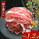 【ふるさと納税】 容量選べる 知多牛 切り落とし 250g~1.2kg 冷凍 知多牛響 切り落とし 小分け パック 約1kg きりおとし 肉 牛肉 ふるさと納税切り落とし 切落し