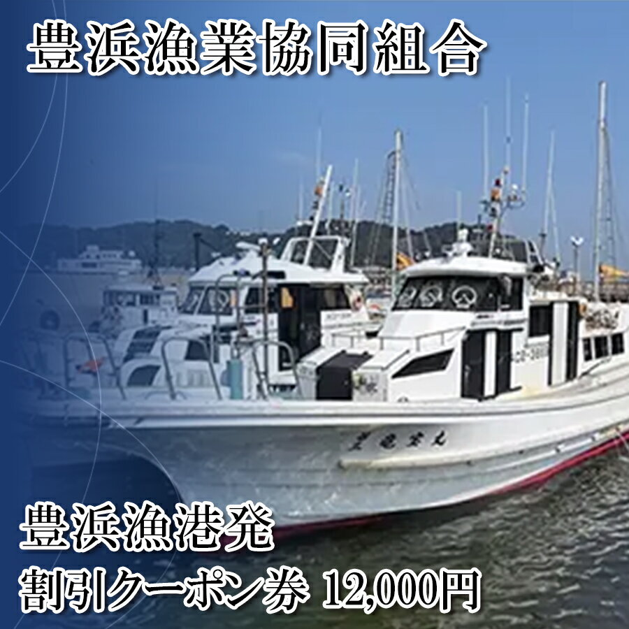 【ふるさと納税】 [ 豊浜漁協 ] 釣り船 割引クーポン12,000円分 釣り 乗り合い 船 魚釣り フィッシング 体験 チケット レジャー 春 夏 秋 冬 魚 さかな 愛知県 南知多町 人気 おすすめ 南知多 愛知 東海 海 漁船 鮮魚 子供 アウトドア 夏休み 観光のサムネイル