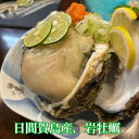【ふるさと納税】 選べる 日間賀島産 天然 岩牡蠣 2kg 4kg 6kg 岩牡蠣 牡蠣 かき 魚貝類 魚貝類 貝 かい 魚介類 海鮮 夕食 ごはん 鮮度抜群 冷蔵 新鮮 愛知県 南知多町