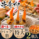 【ふるさと納税】 【容量 選べる】 串青柳 特大サイズ 2串入り×1~10袋 天然 青柳 岬だより ( 冷凍 バカガイ おつまみ 酒の肴 おかず 保存料 無添加 アオヤギ ふるさと納税貝 ふるさと納税魚貝 ふるさと納税干物 ふるさと納税ひもの 人気 おすすめ 愛知県 南知多町
