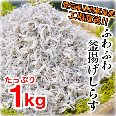 【ふるさと納税】愛知県日間賀島産・1kg釜揚げしらす・島の工場から直送【配送不可地域：離島】【1256782】