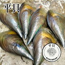 【ふるさと納税】選べる 平貝 セット 3個~6個 たいらぎ 貝 かい 魚介類 海鮮 夕食 ごはん 刺身 鮮度抜群 冷蔵 新鮮 お刺身 貝類 魚貝 高級 焼き パ...