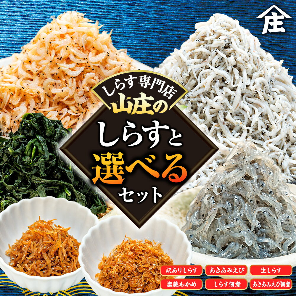 選べる 訳あり しらすセット しらす アキアミエビ 生しらす 塩蔵わかめ しらす佃煮 あきあみえび佃煮 規格外 簡易包装 小分け しらす干し オールスター 海鮮 新鮮 魚 海老 エビ 夕食 晩ごはん 惣菜 夕ご飯 愛知県 南知多町