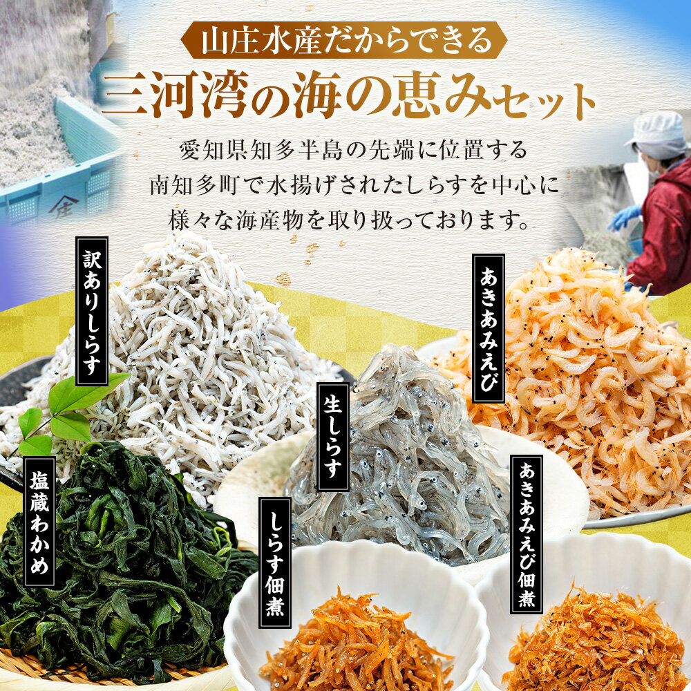 愛知県南知多町の画像2