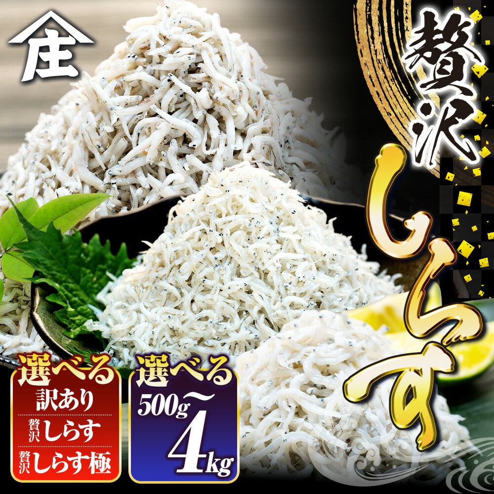 [高評価率94.2%] 選べる 国産しらす 500g - 4kg 訳あり 贈答 ギフト しらす干し 減塩 極み 山庄 ふるさと納税しらす ちりめん 規格外 しらす 魚 海鮮 魚介類 魚貝 規格外 健康 ダイエット 人気 ランキング 5000円 美味しい 筋トレ 南知多 愛知県