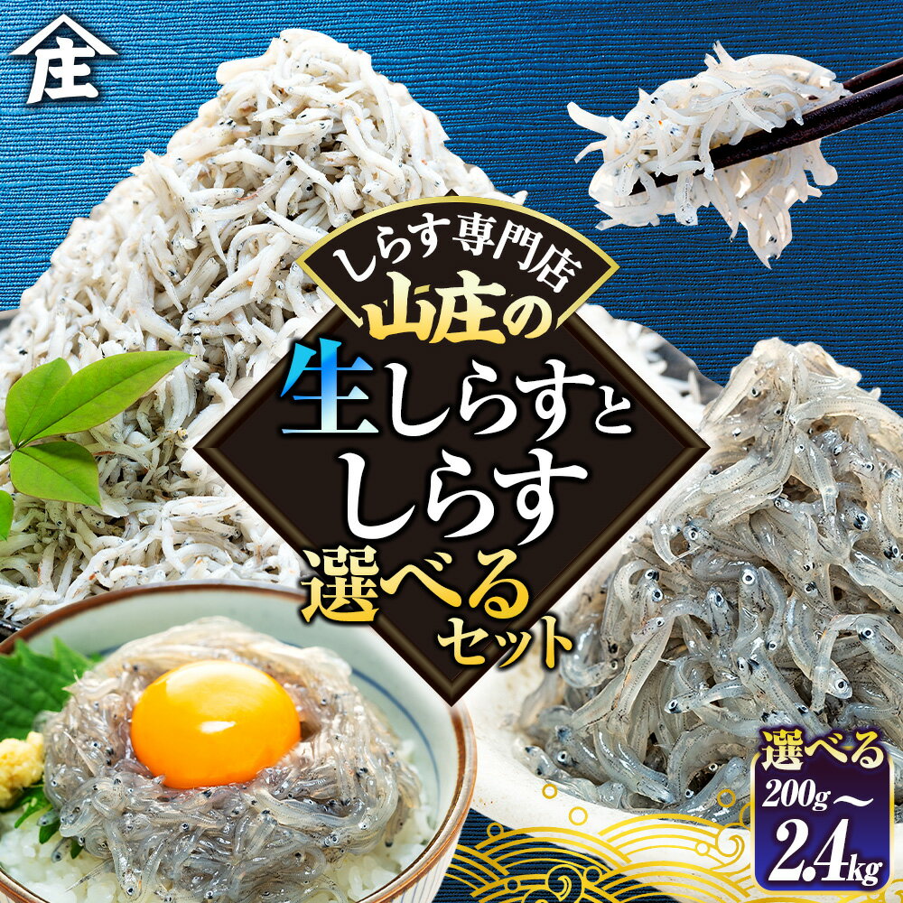 【ふるさと納税】 【選べるセット】 生しらす 200g 400g 訳ありしらす干し 500g 1kg ...