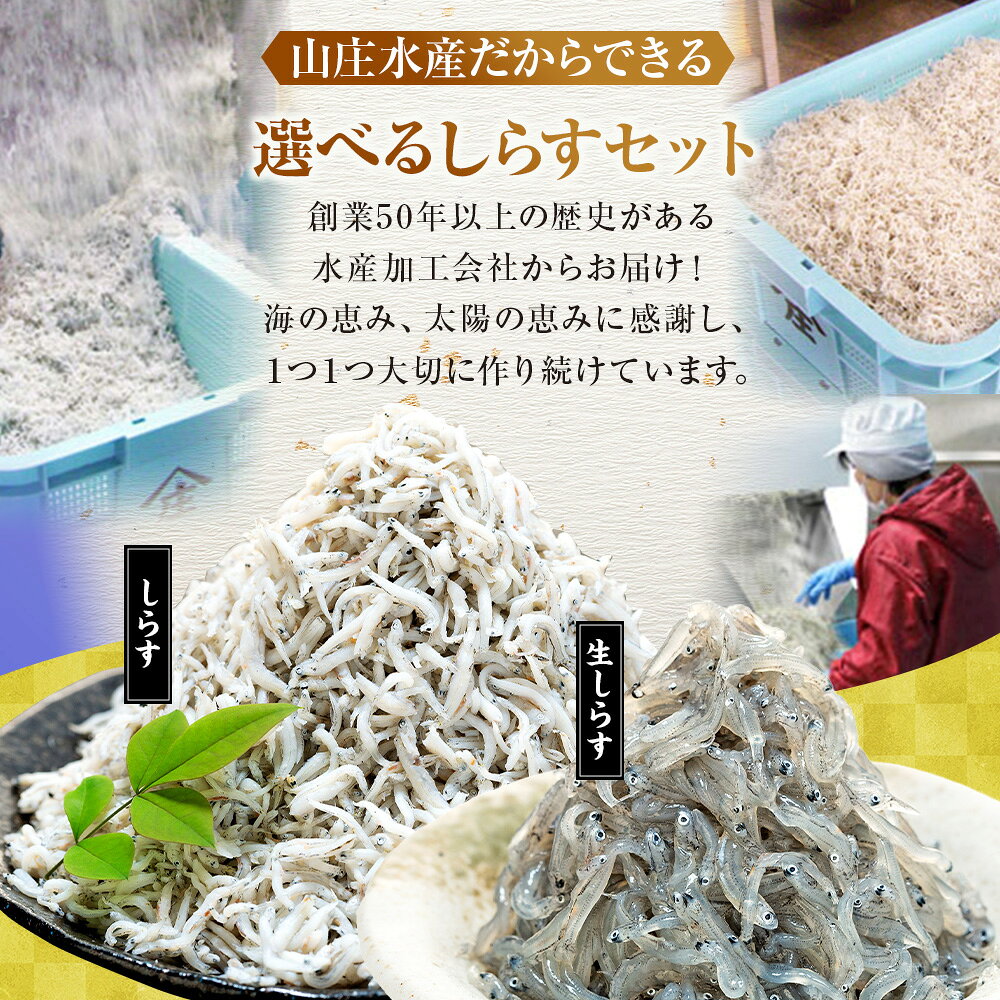 【ふるさと納税】 【選べるセット】 生しらす 200g 400g 訳ありしらす干し 500g 1kg セット 冷凍 真空パック しらす干し 愛知県 南知多町 師崎 生シラス 美味しいしらす 人気しらす シラス 海鮮 しらす丼 シラス 南知多 愛知県