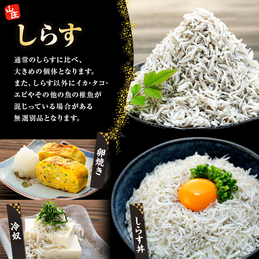 【ふるさと納税】 【選べるセット】 生しらす 200g 400g 訳ありしらす干し 500g 1kg セット 冷凍 真空パック しらす干し 愛知県 南知多町 師崎 生シラス 美味しいしらす 人気しらす シラス 海鮮 しらす丼 シラス 南知多 愛知県 f234451-minamichita-10001367 愛知県南知多町 サンプル画像3
