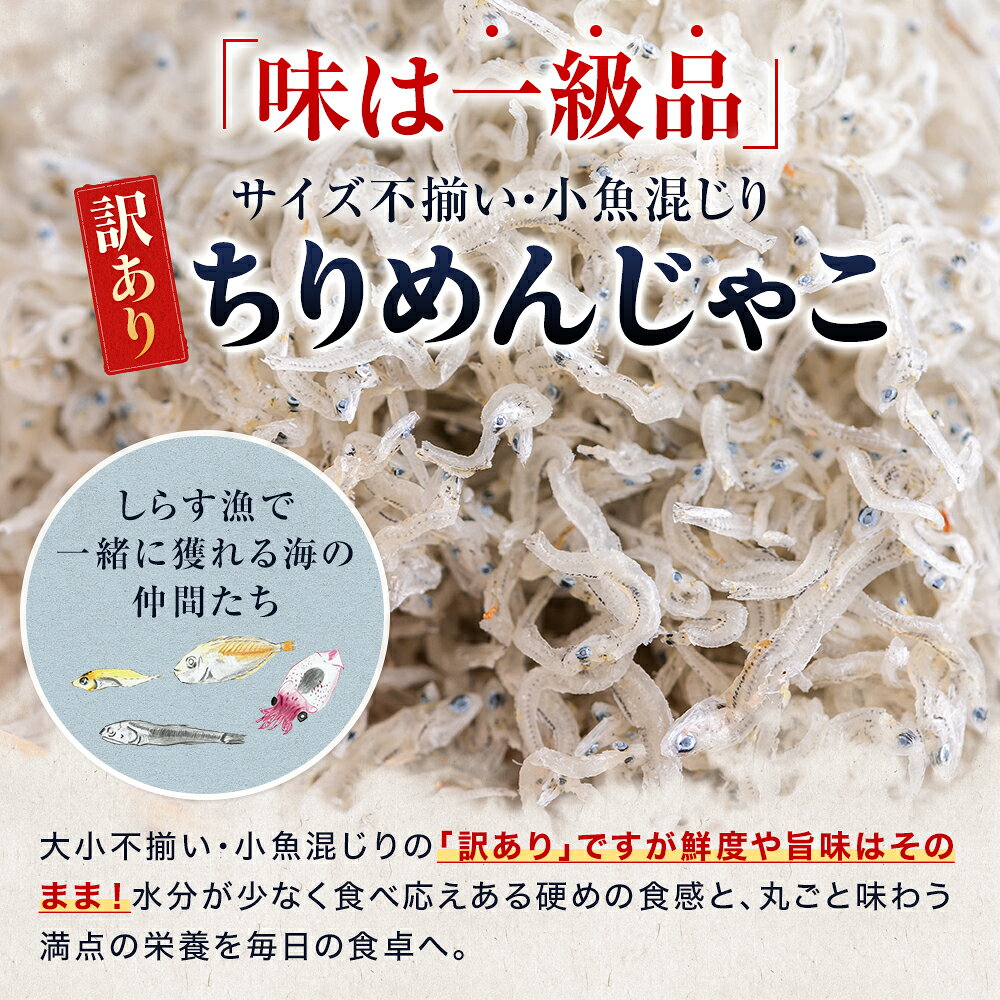 【ふるさと納税】 訳あり ちりめんじゃこ 小分け 300g 1kg 1.5kg 選べる 容量 減塩 甘塩 上乾 乾燥 ちりめん じゃこ 冷凍 国産 取り寄せ 送料無料 ギフト しらす しらす丼 ふりかけ 佃煮 魚介 魚 小魚 海鮮 つくだに ごはんのお供 炊き込みご飯 愛知県 南知多町 f234451-minamichita-10001007 愛知県南知多町 サンプル画像3