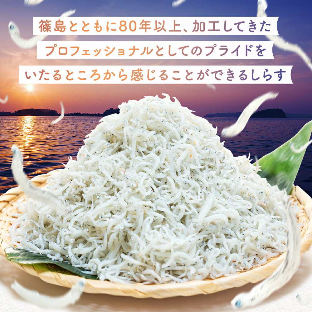 【ふるさと納税】 【最短翌日発送】 しらす干し 500g~2kg 訳あり 贈答 篠島産 ブランド 人気 ランキング 美味しい 規格外 小分け 便利 家庭用 5000円 しらす ちりめん スピード発送 シラス 規格外 ギフト 惣菜 夕食 晩ごはん 南知多産 愛知 ふるさと納税しらす 南知多町